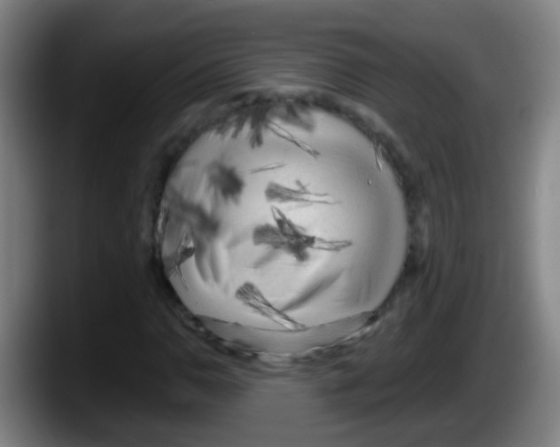 X0000087611110200705251937