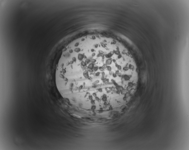 X0000087611112200705251937