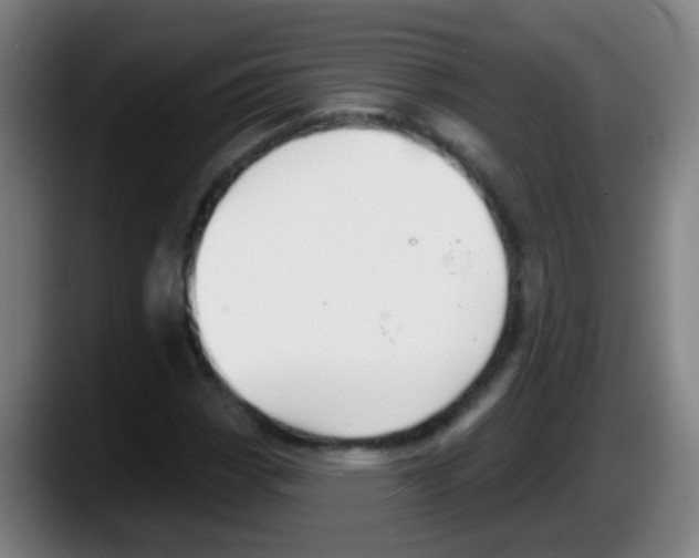 X0000087611113200705251937