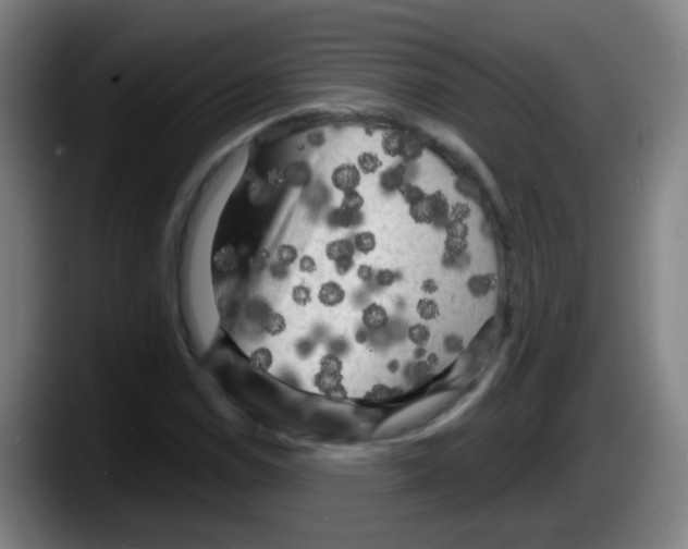 X0000087611114200705251937