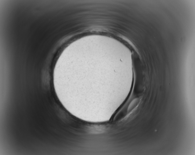 X0000087611115200705251937