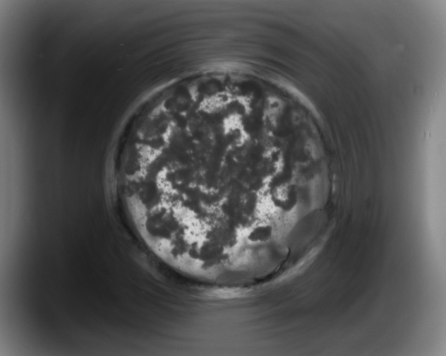 X0000087611117200705251937