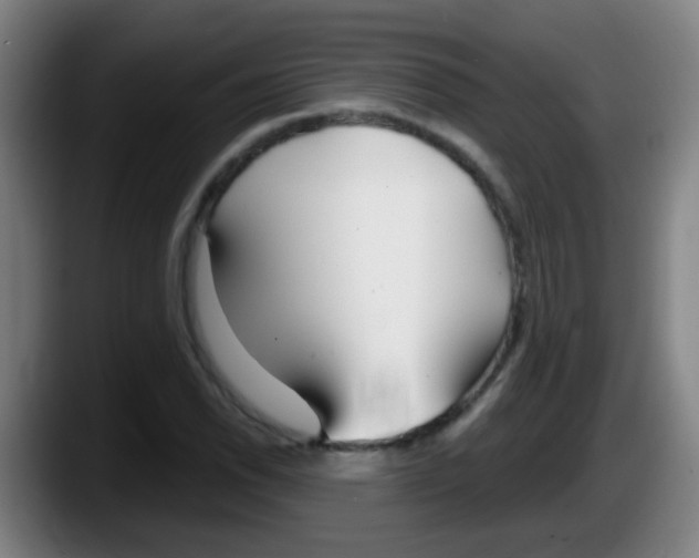 X0000087611118200705251937