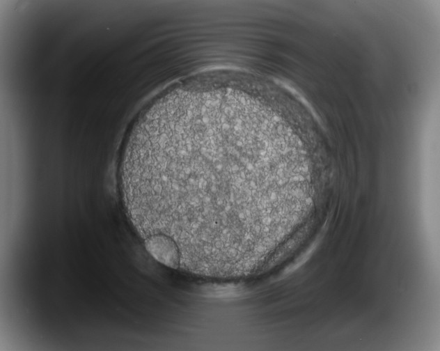 X0000087611121200705251937