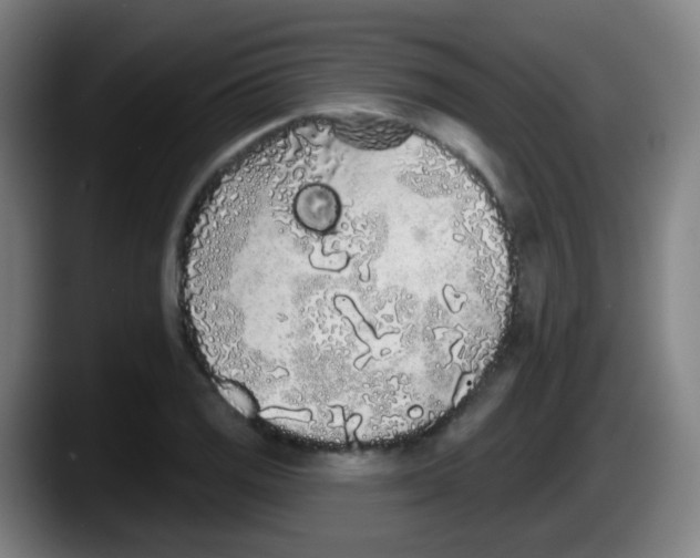 X0000087611125200705251937