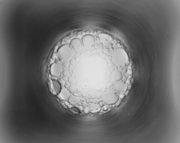 X0000087611126200705251937