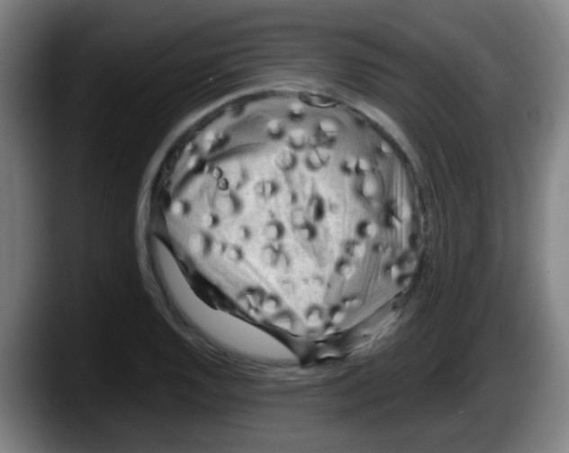 X0000087611128200705251937