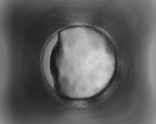 X0000087611129200705251937