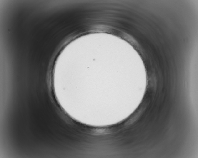 X0000087611130200705251937