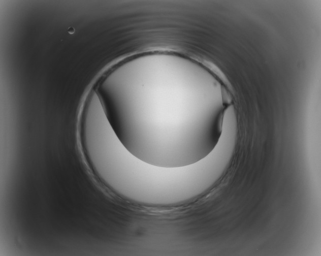 X0000087611132200705251937