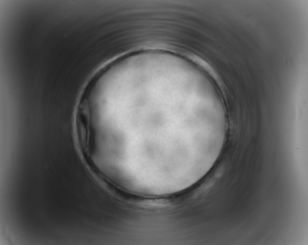 X0000087611133200705251937