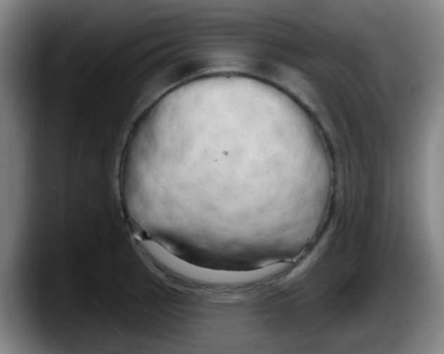 X0000087611137200705251937