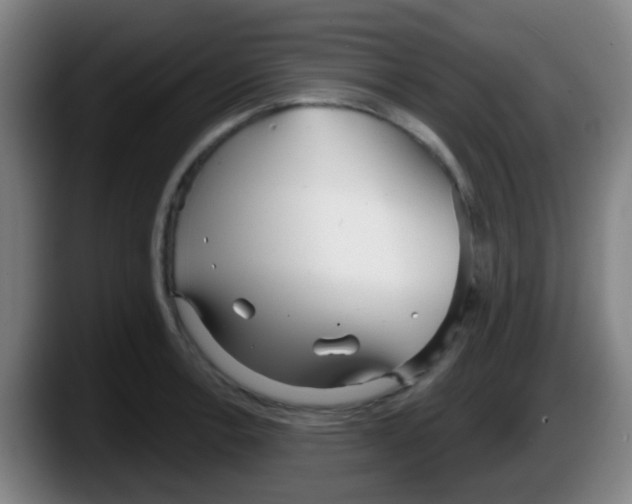 X0000087611138200705251937