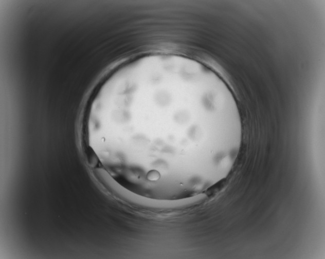 X0000087611139200705251937