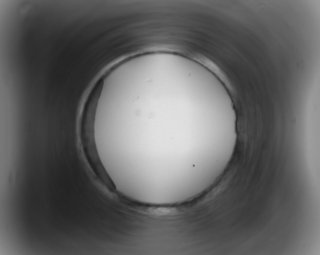 X0000087611140200705251937