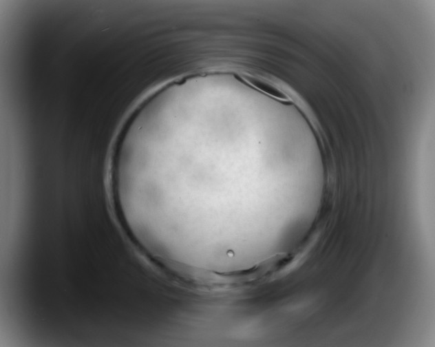 X0000087611149200705251937