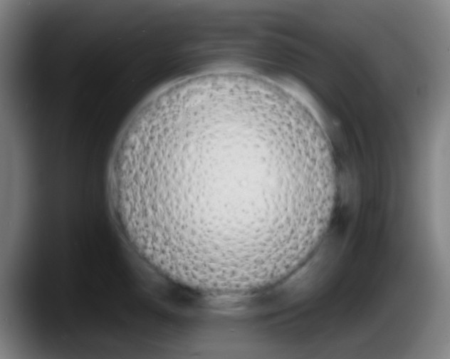 X0000087611150200705251937