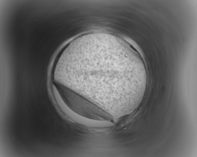 X0000087611152200705251937