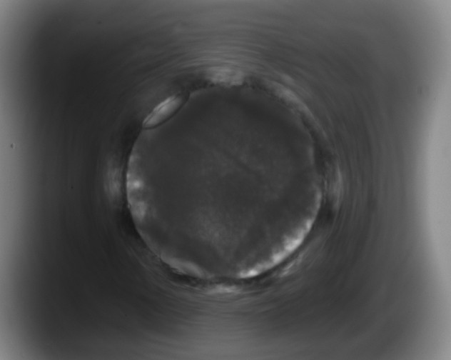 X0000087611154200705251937