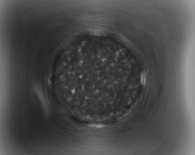 X0000087611155200705251937