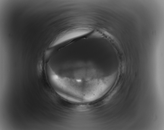 X0000087611161200705251936