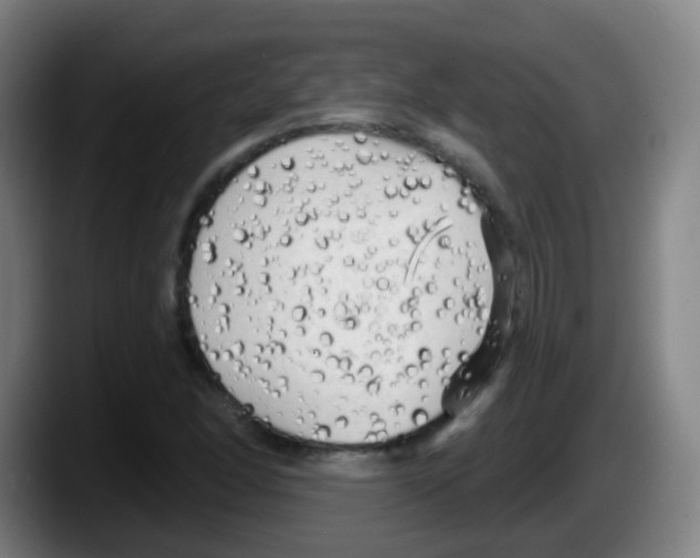 X0000087611166200705251936