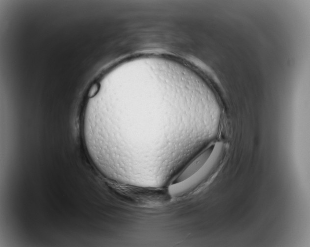 X0000087611167200705251936