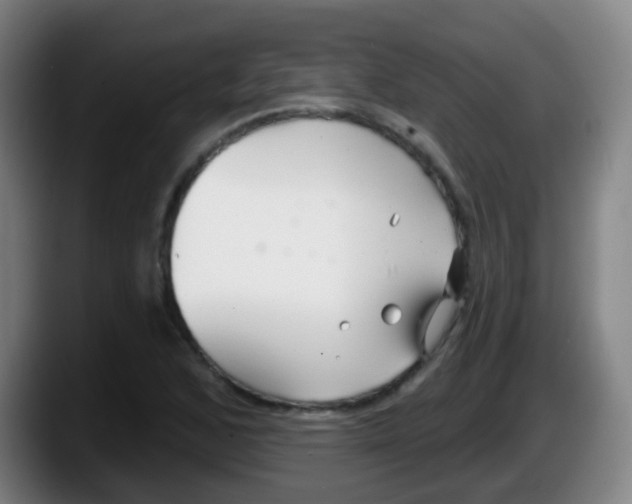 X0000087611168200705251936