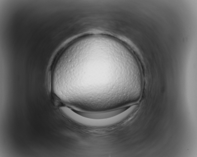 X0000087611175200705251936