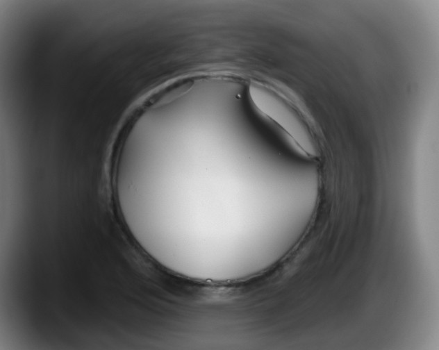 X0000087611176200705251936