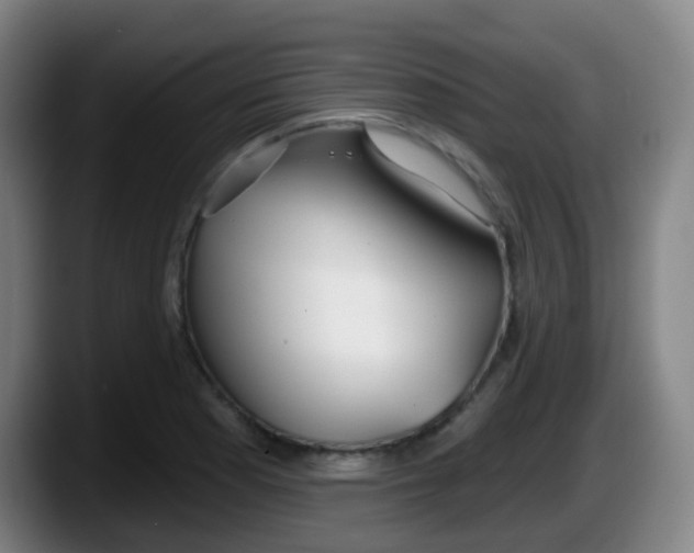 X0000087611177200705251936