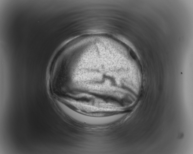 X0000087611179200705251936