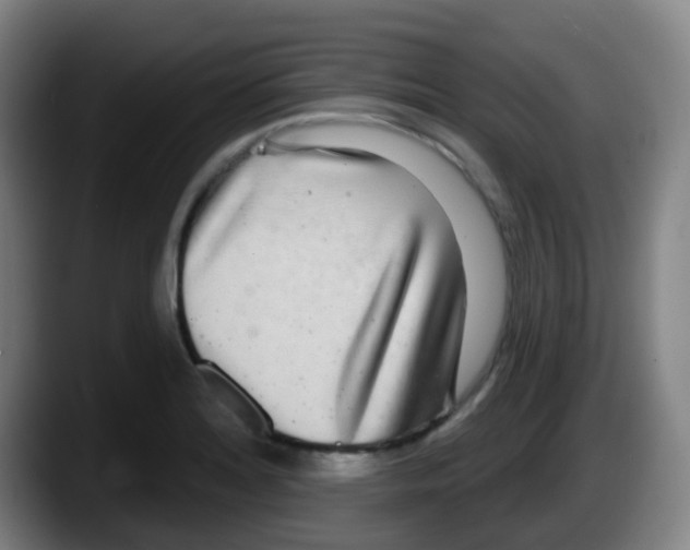 X0000087611180200705251936