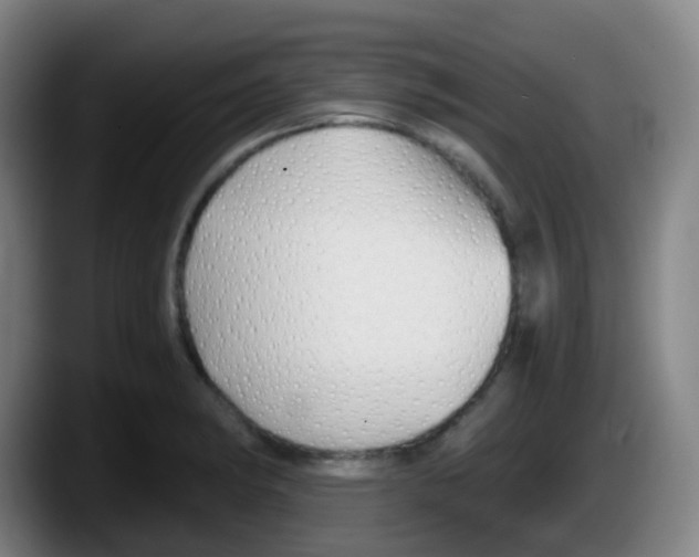 X0000087611182200705251936