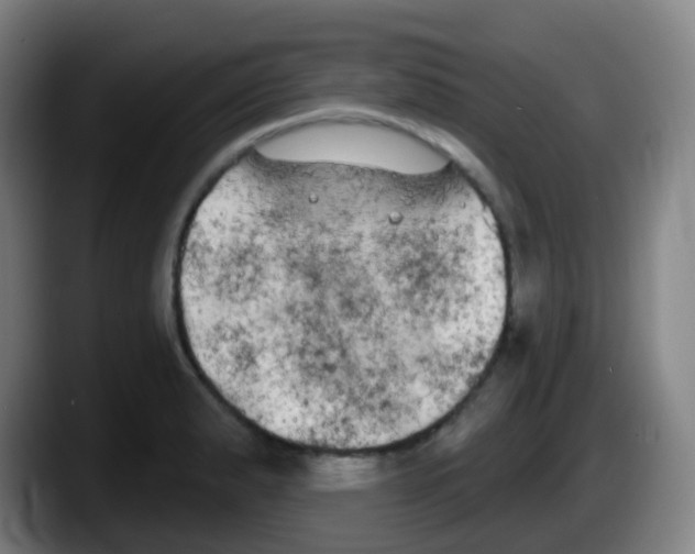 X0000087611183200705251936