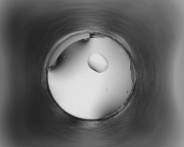 X0000087611184200705251936