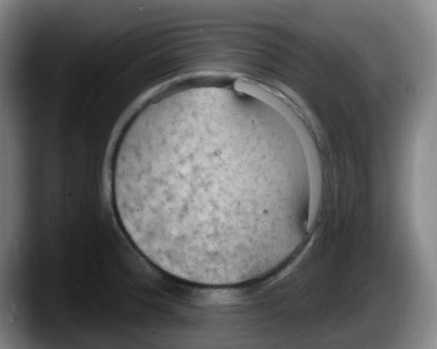 X0000087611188200705251936