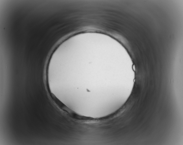 X0000087611191200705251936