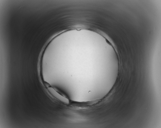 X0000087611195200705251936