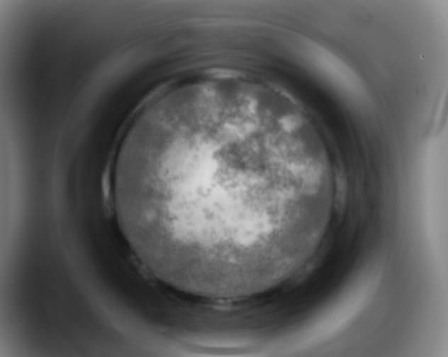 X0000087611198200705251936