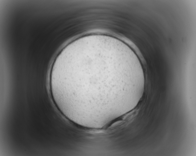 X0000087611199200705251936