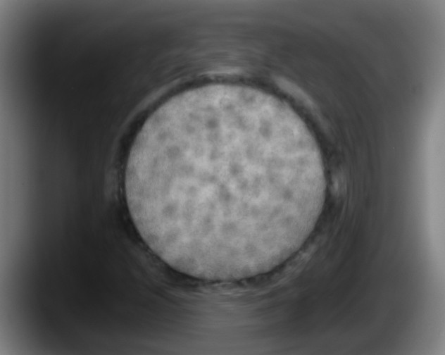 X0000087611208200705251935