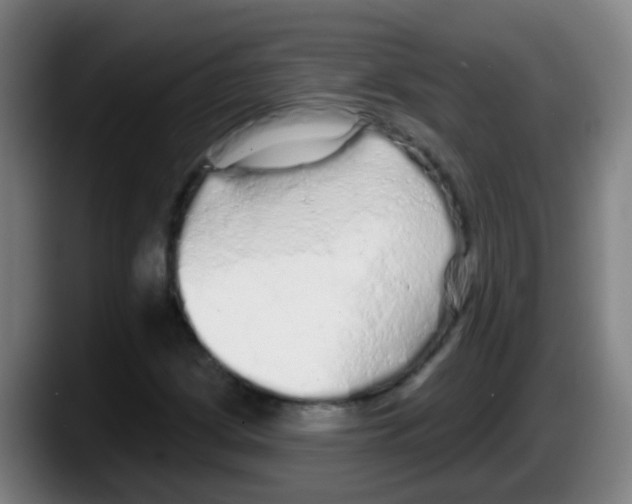 X0000087611209200705251935