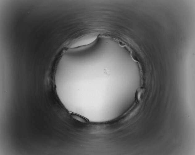 X0000087611210200705251935