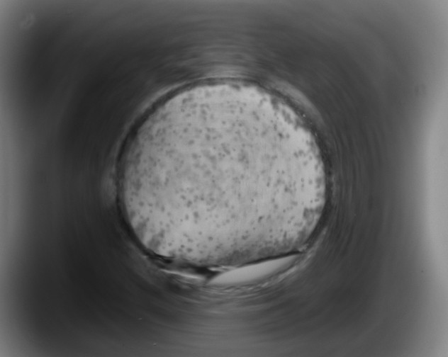 X0000087611212200705251935