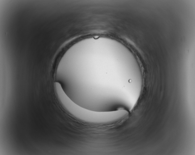 X0000087611214200705251935