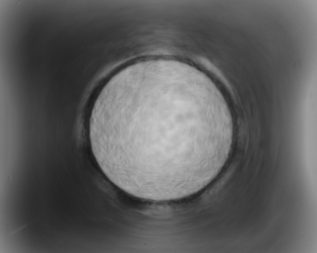 X0000087611215200705251935