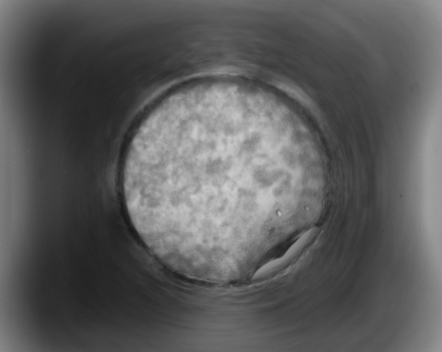 X0000087611216200705251935