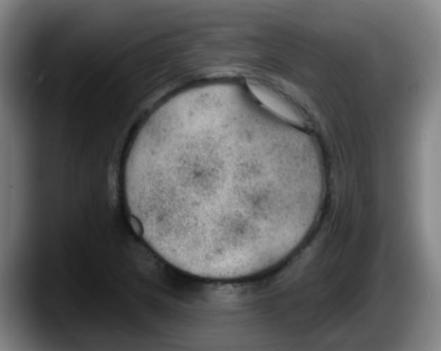 X0000087611217200705251935