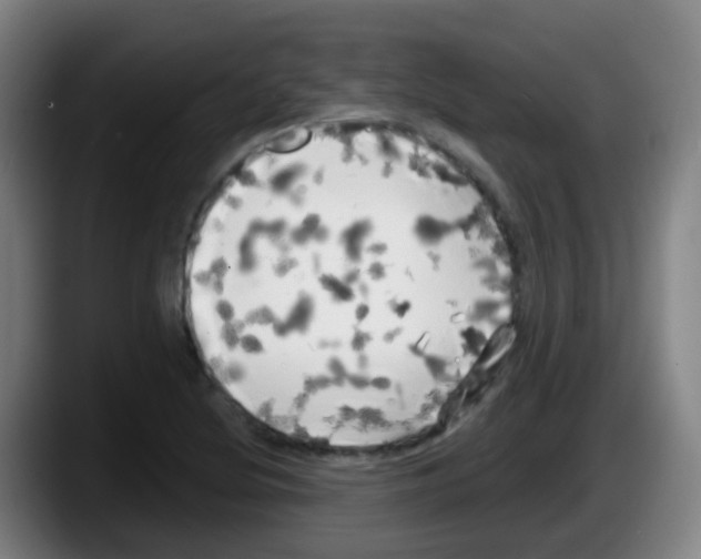 X0000087611220200705251935